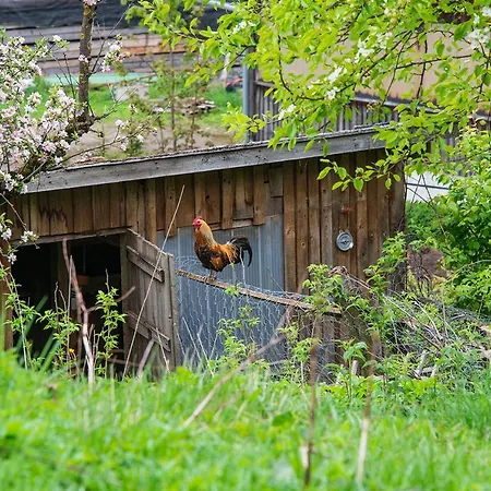 Appartement Gut Tausendbachl Regen